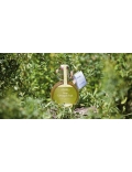 Sirop Estragon frais