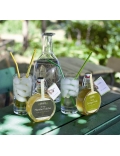 Sirop Estragon frais